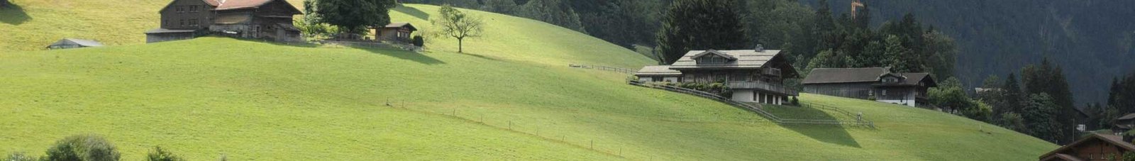 Gstaad Saanen : Paysage serein de montagnes et collines verdoyantes.
