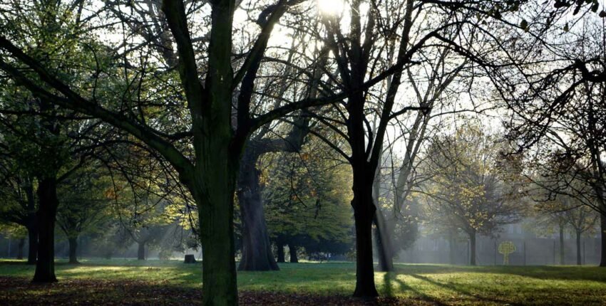 Londres jardin