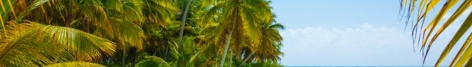 eau claire des Caraïbes