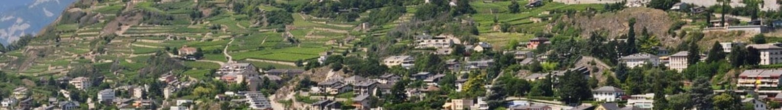 Sion ville