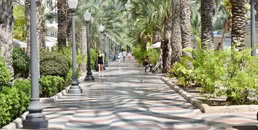 ruelle Alicante
