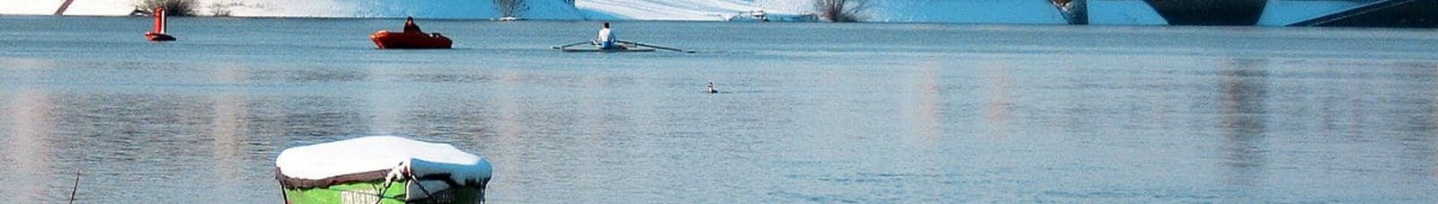Ville sereine au bord de la rivière, canards nageant, maisons en arrière-plan.
