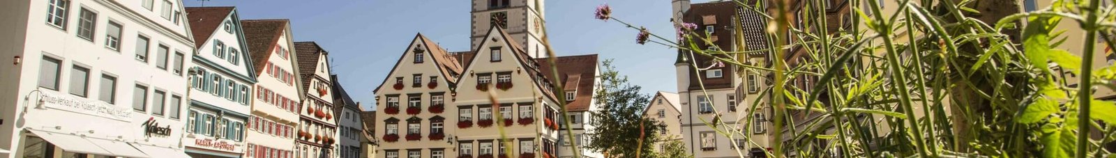 Biberach An Der Riss location de jet privé