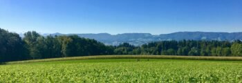 Location de jet privé Dubendorf - paysage luxuriant.