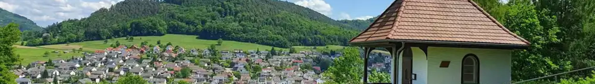 Lahr Black Forest : location de jet privé