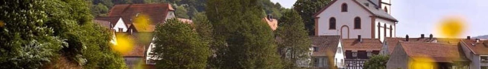Reichelsheim : location de jet privé