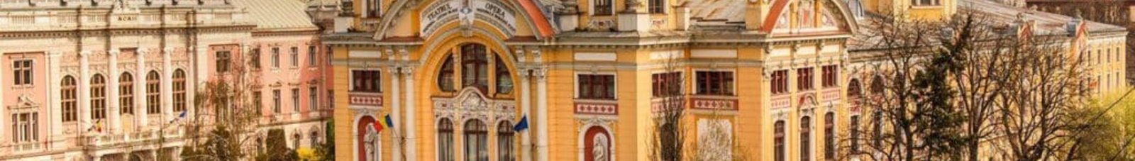 cluj : location de jet privé