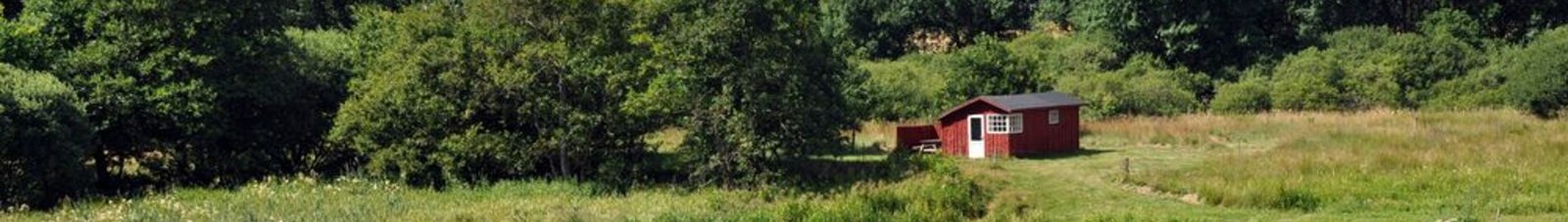 Karup : location de jet privé