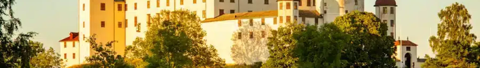Lidkoping : location de jet privé