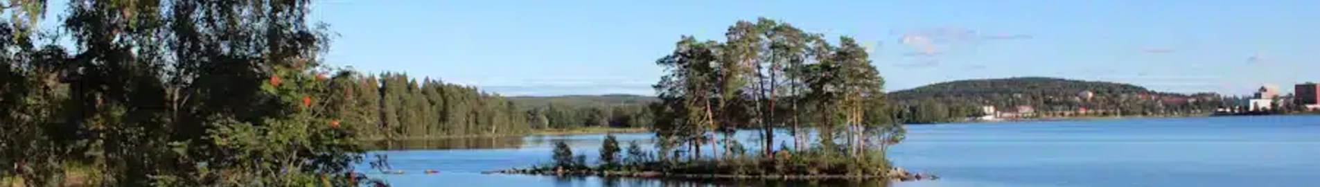 Ludvika : location de jet privé