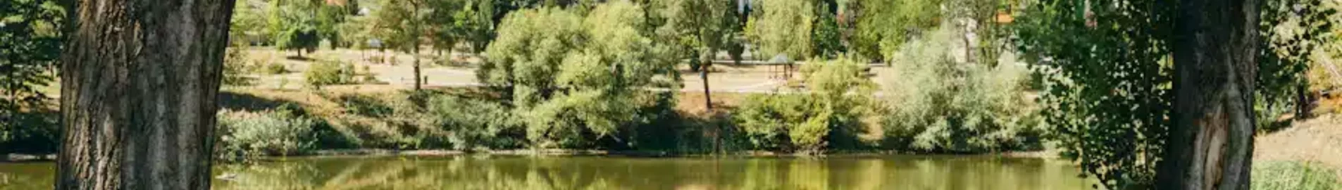 Moldavie :Location de jet privé