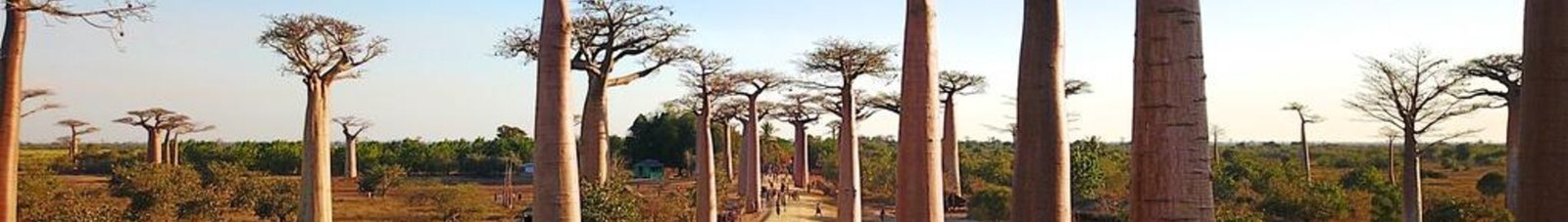 morondavas: location de jet privé