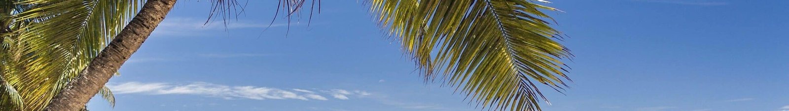 nosy be: location de jet privé