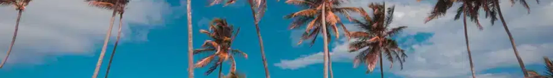 Punta Cana : location de jet privé