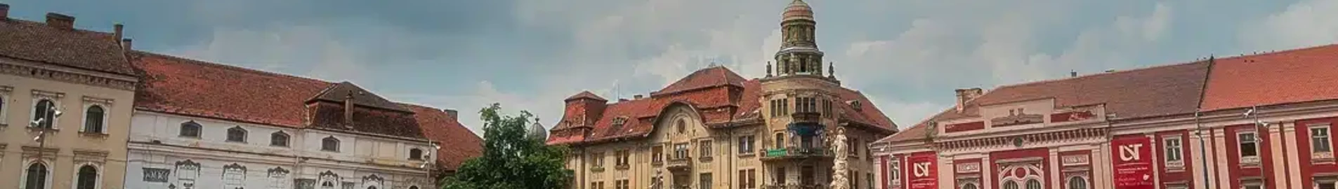 satu mare : location de jet privé