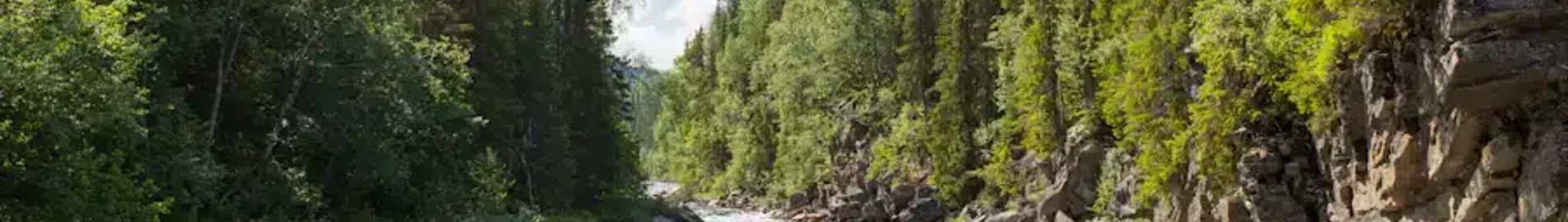 Skovde : location de jet privé