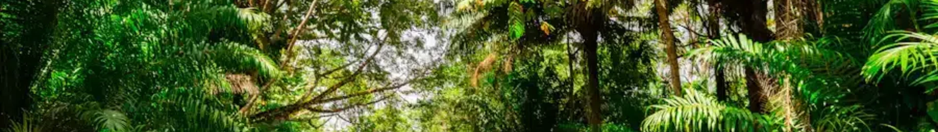 trinidad et tobago : Location de jet privé
