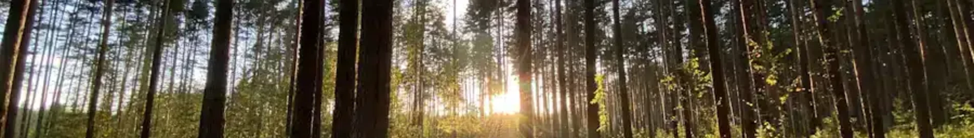 Tver Migalovo: location de jet privé