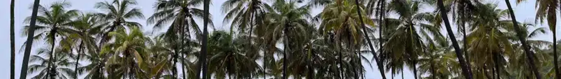 Union Island : location de jet privé