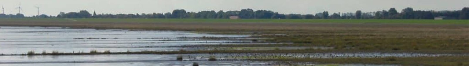 Wilhelmshaven Mariensiel : location de jet privé