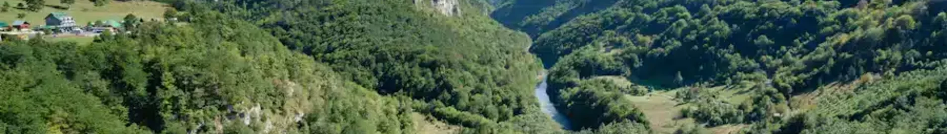 Montagne et vallée verdoyante sous ciel bleu.