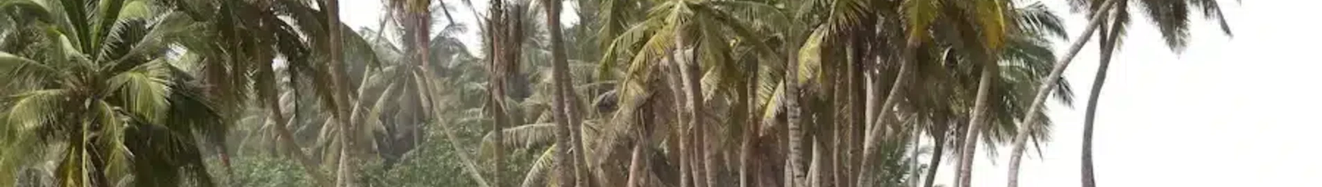 ghana : location de jet privé