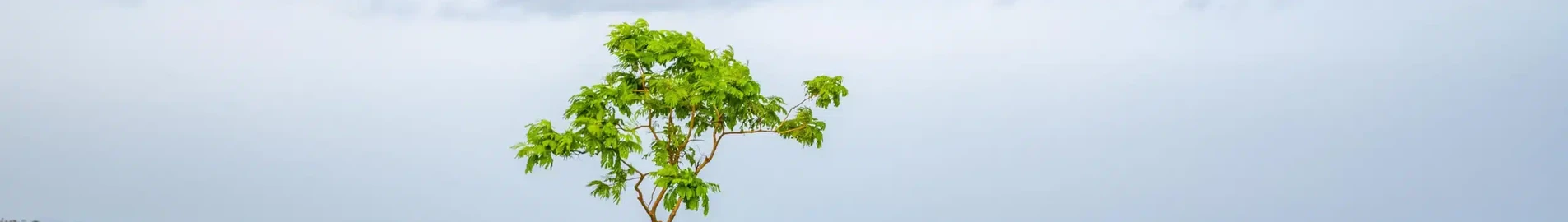 Akure : location de jet privé