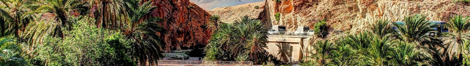 biskra : location de jet privé