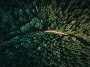 Vue aérienne route sinueuse forêt dense, admirée par Vistajet.