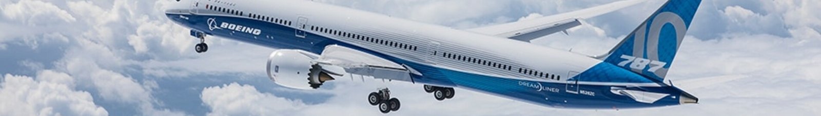 Boeing 787 Dreamliner en vol