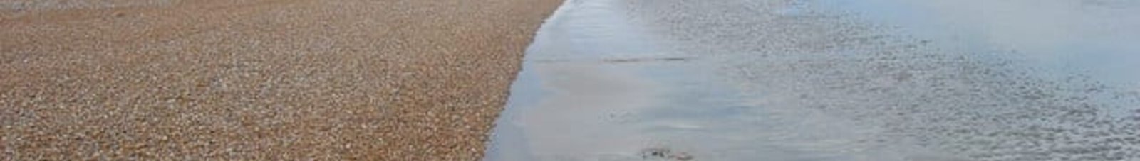 plage de Lydd