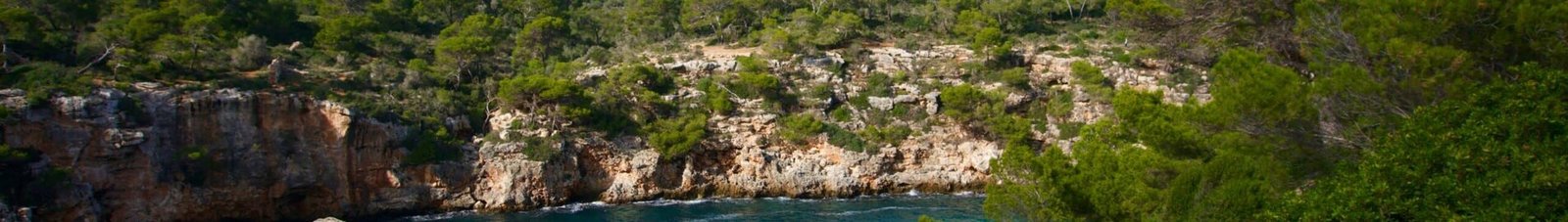 Francfort Palma location jet privé