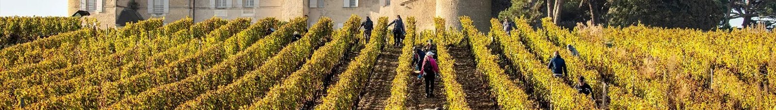 helicoptere vins de bordeaux