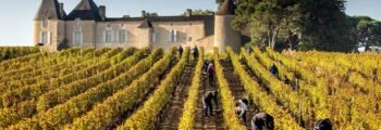 helicoptere vins de bordeaux