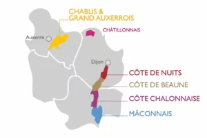 vignoble de Bourgogne